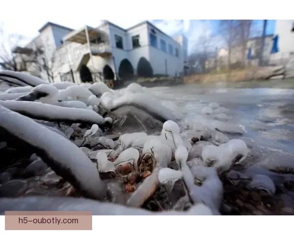 因寒潮首尔广岛亚冠改至木洞